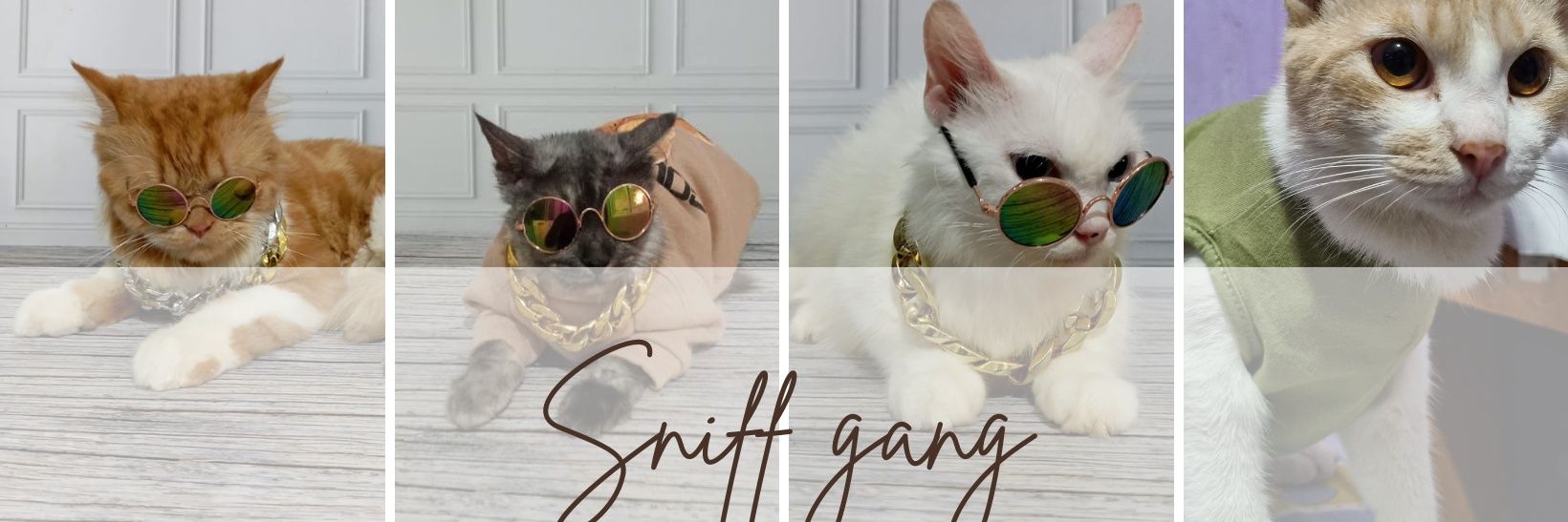 nattann_'s profile banner image