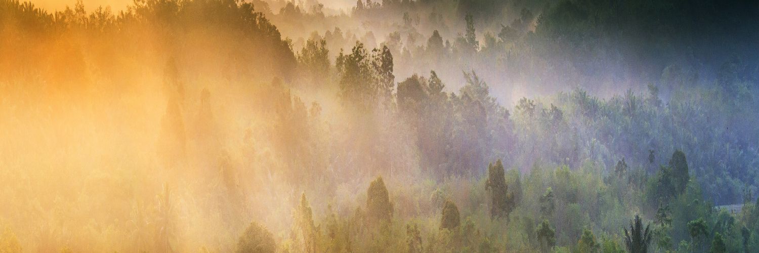 William Smith banner