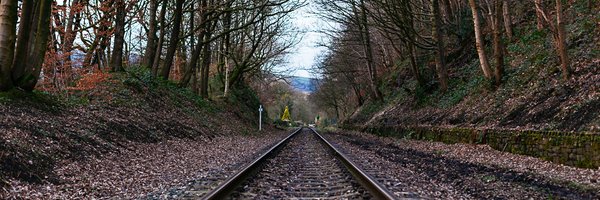 SongsForWalter Profile Banner