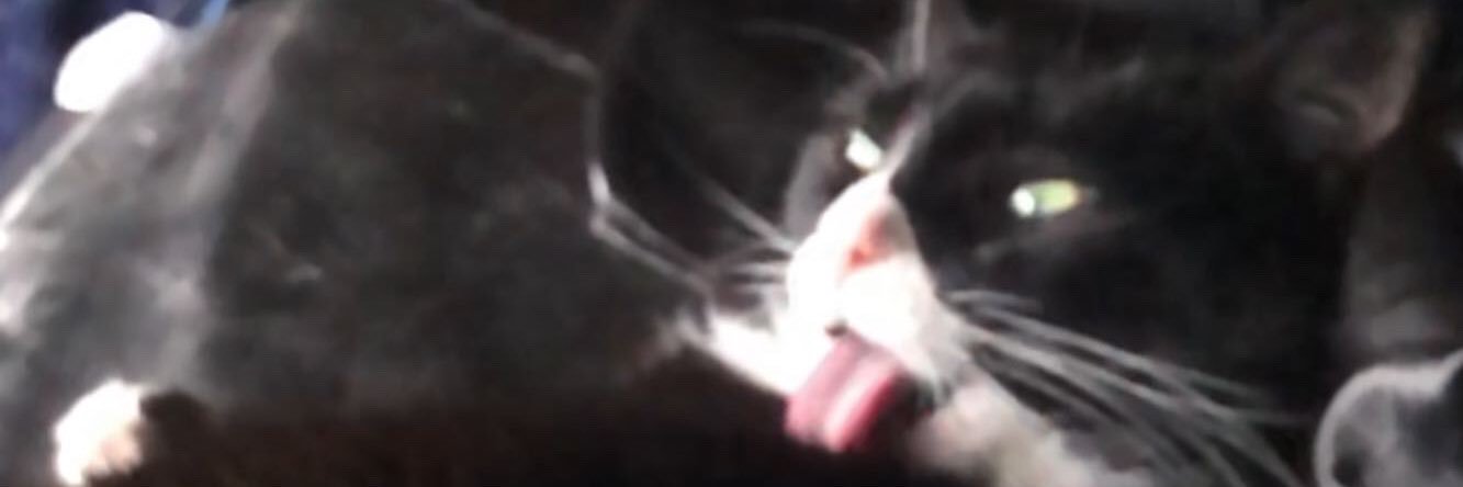 KWhoseMan's profile banner image