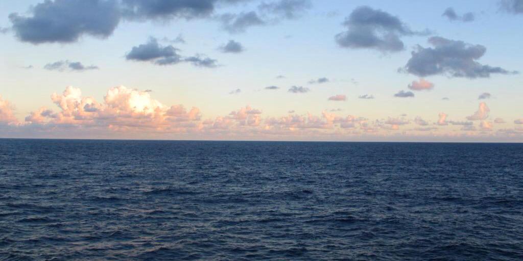 reddrumFL's profile banner image