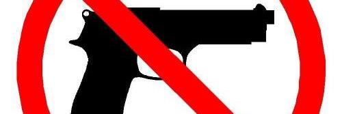 nogunsmoms's profile banner image