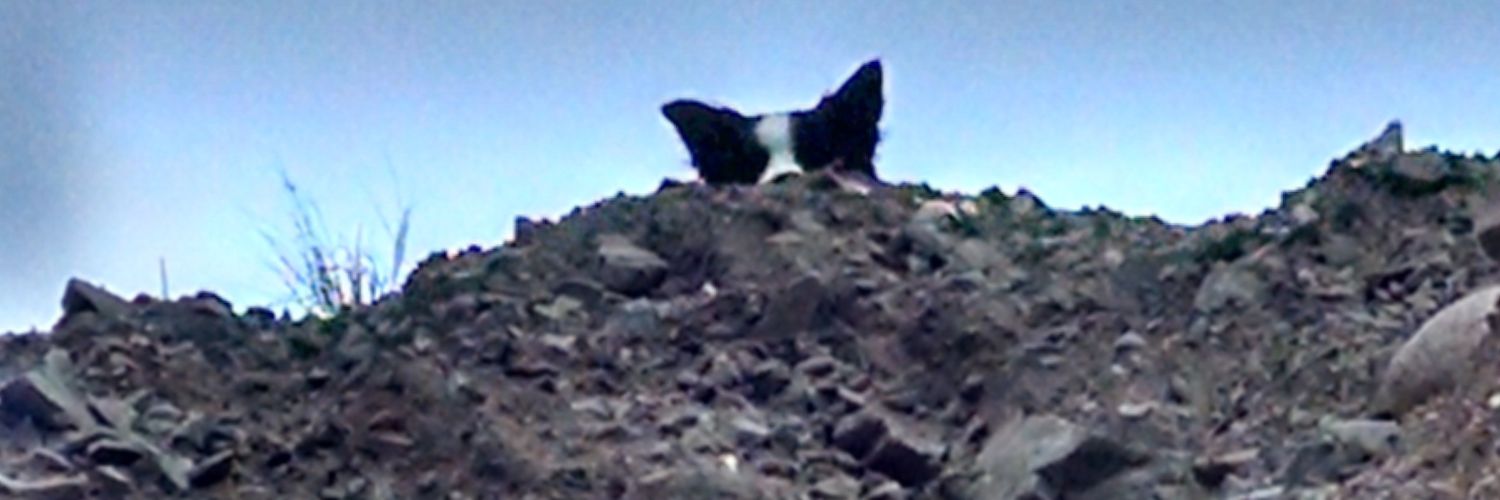 EMME296's profile banner image