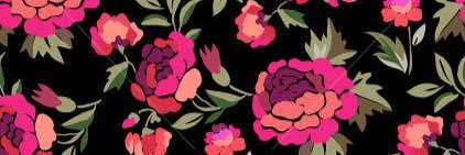 ANeimeic's profile banner image