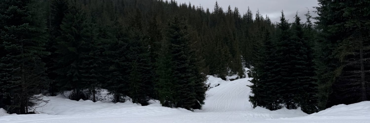 Alix Ordóñez 🦦 banner