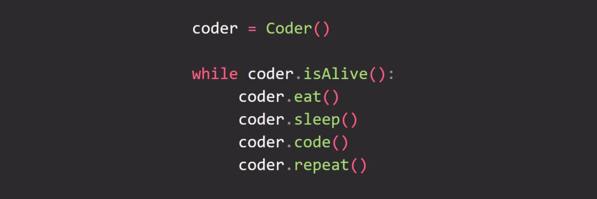 sassy_coder's profile banner image