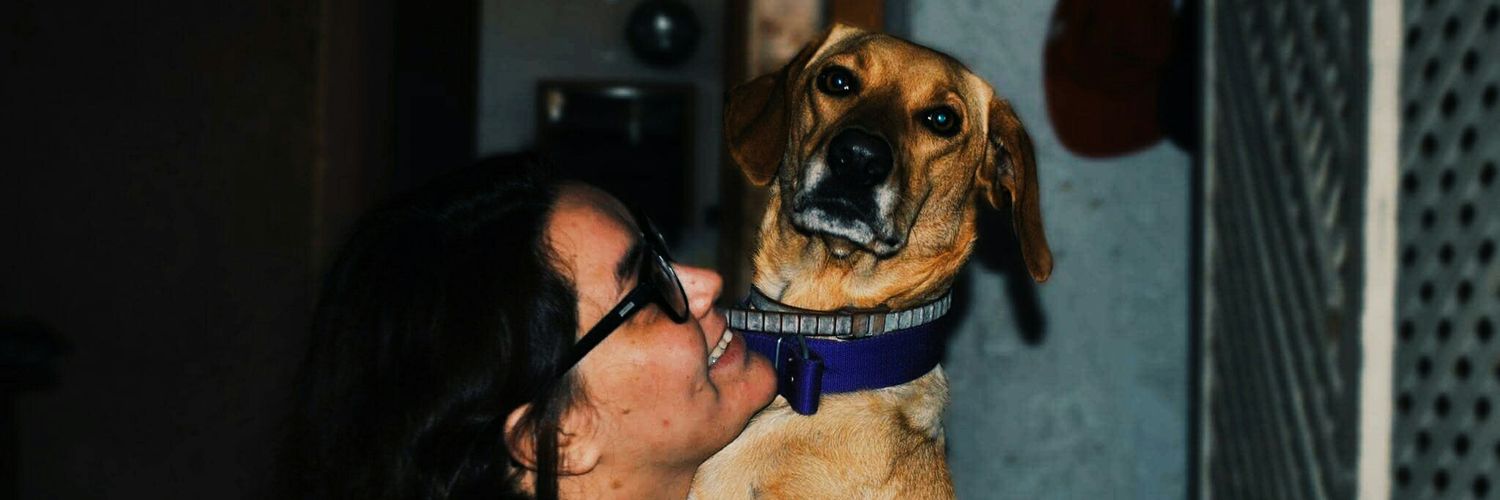 caamiidacamara's profile banner image
