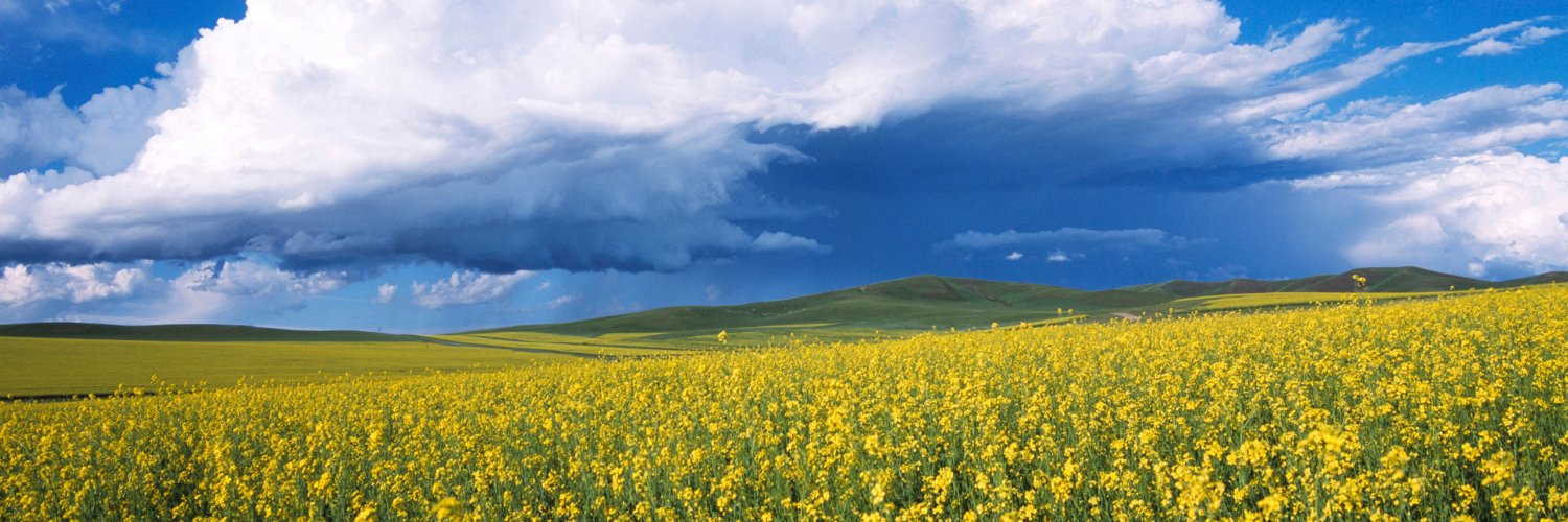 fillippe8's profile banner image
