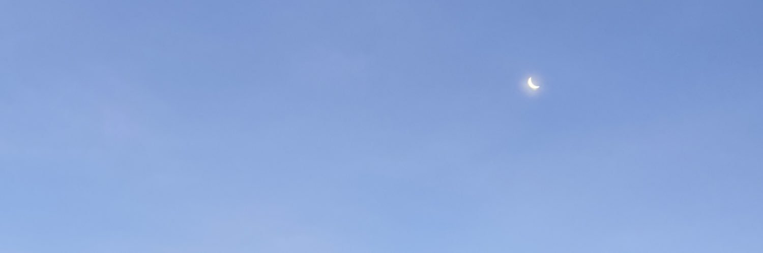 adyonchain's profile banner image