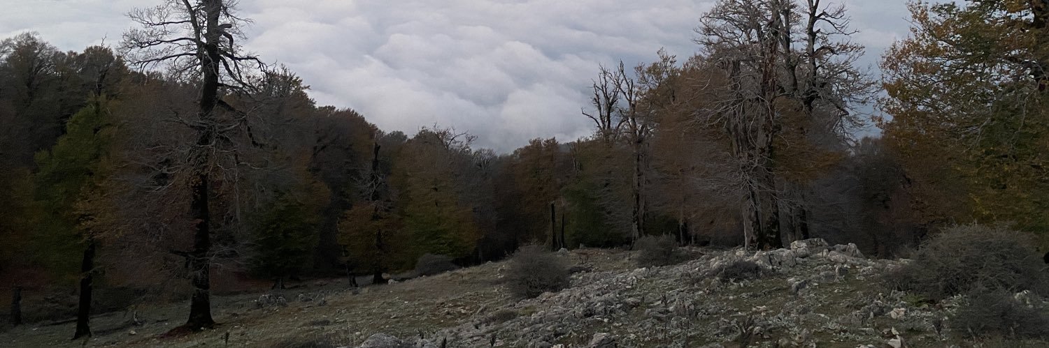 rahamokajkardam's profile banner image
