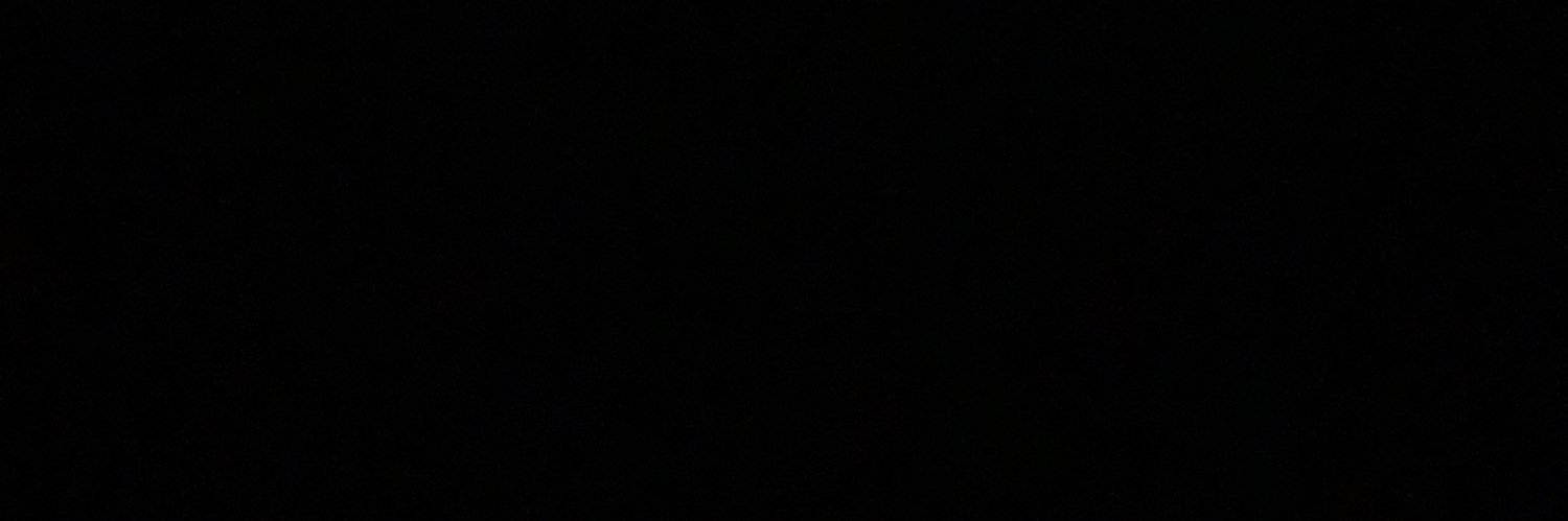 LisaHouseCat's profile banner image