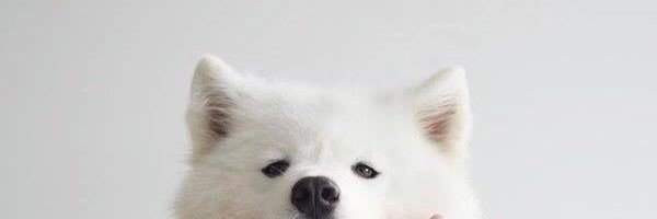 maymonthaa's profile banner image