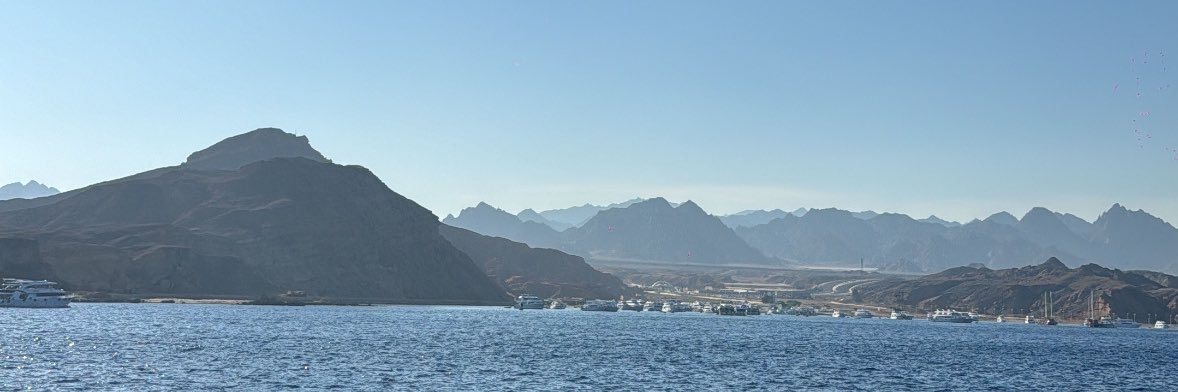 muneraalss's profile banner image