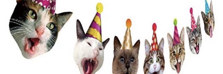chimbosliceeee's profile banner image