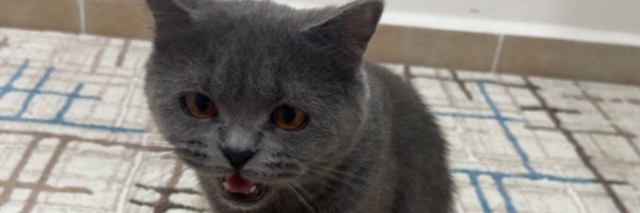 maximilimoralez's profile banner image