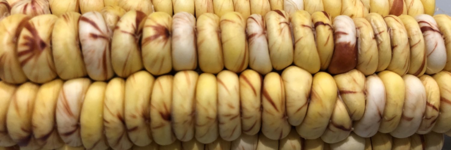 OmmeSalmaRahemtullah 🔻 banner