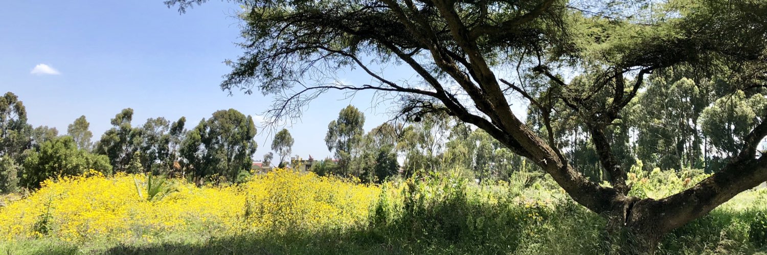 Dr Hazel Malapit (she/her) banner