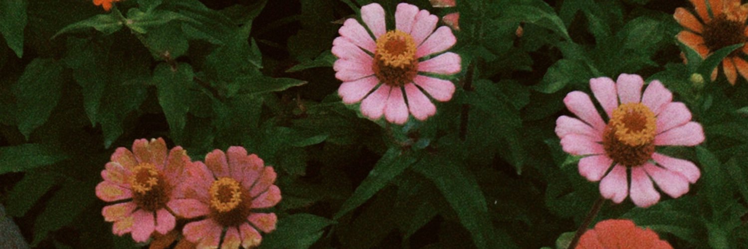 PriFernandez1_'s profile banner image