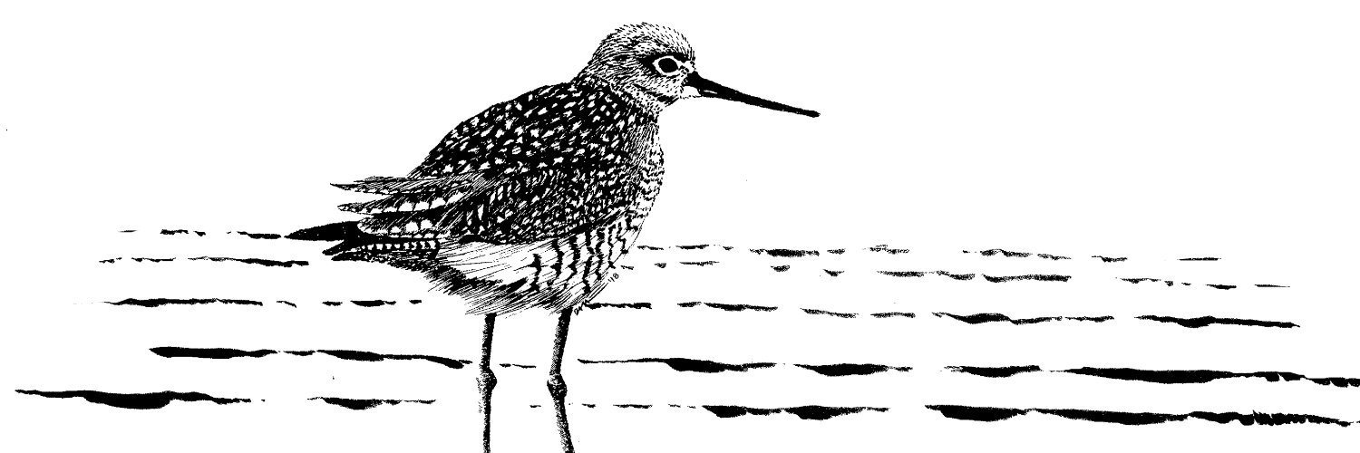 inkadillo's profile banner image