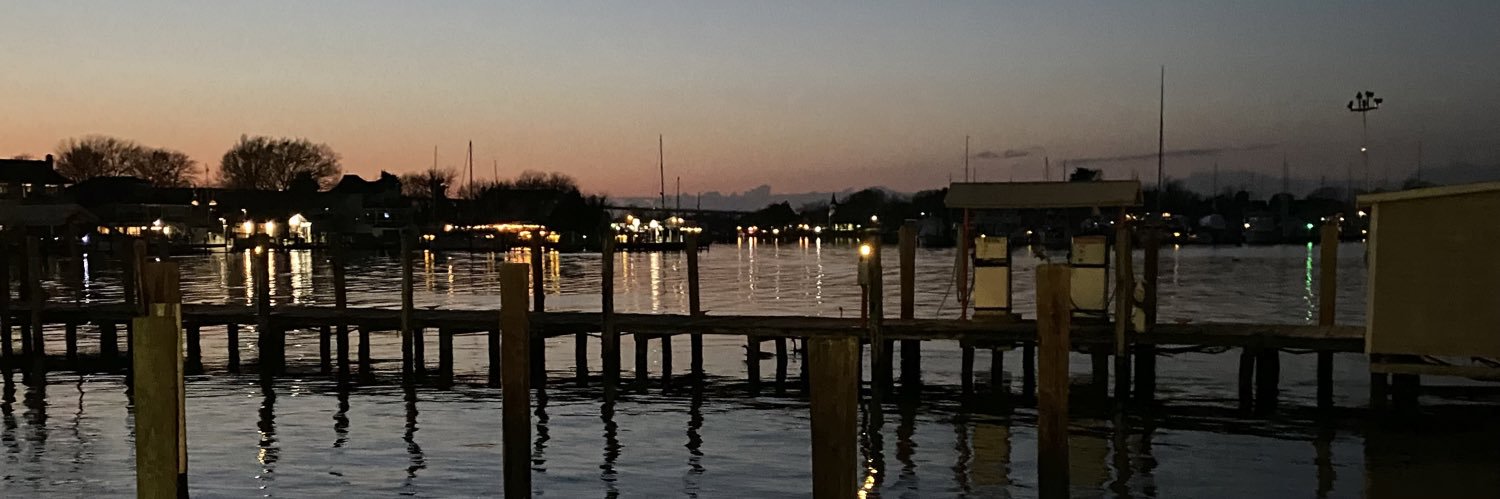 Shmuel Shoham banner