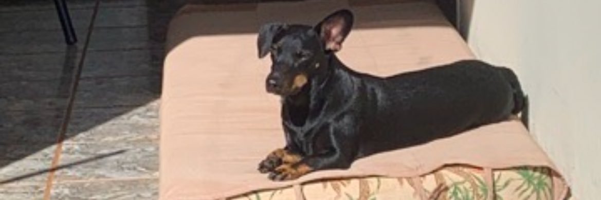 _rgimenez's profile banner image