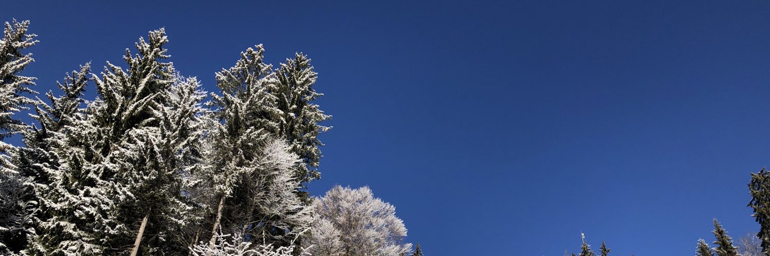 colavittifranco's profile banner image