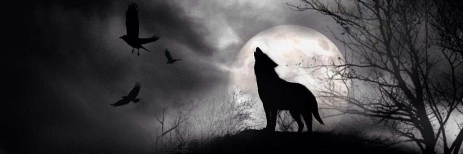 SharoonJaved9's profile banner image