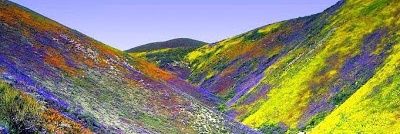 TxusadeVelasco's profile banner image
