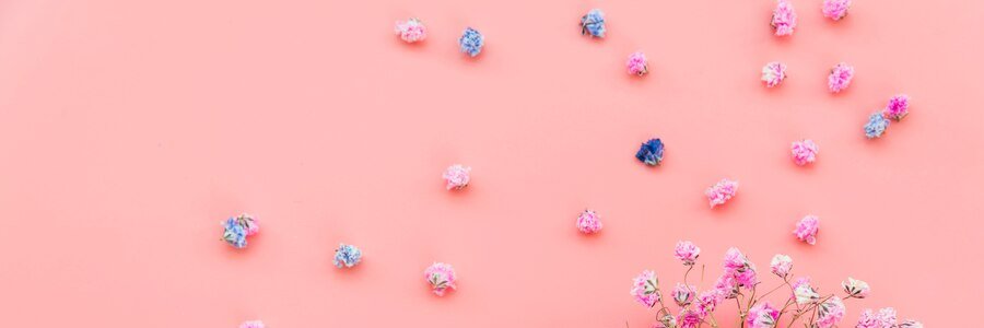 。 banner