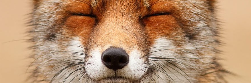 joseblu278's profile banner image