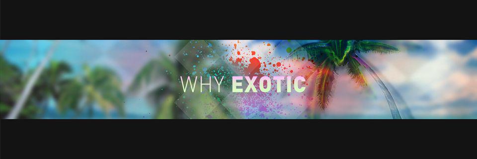 WhyExotic's profile banner image