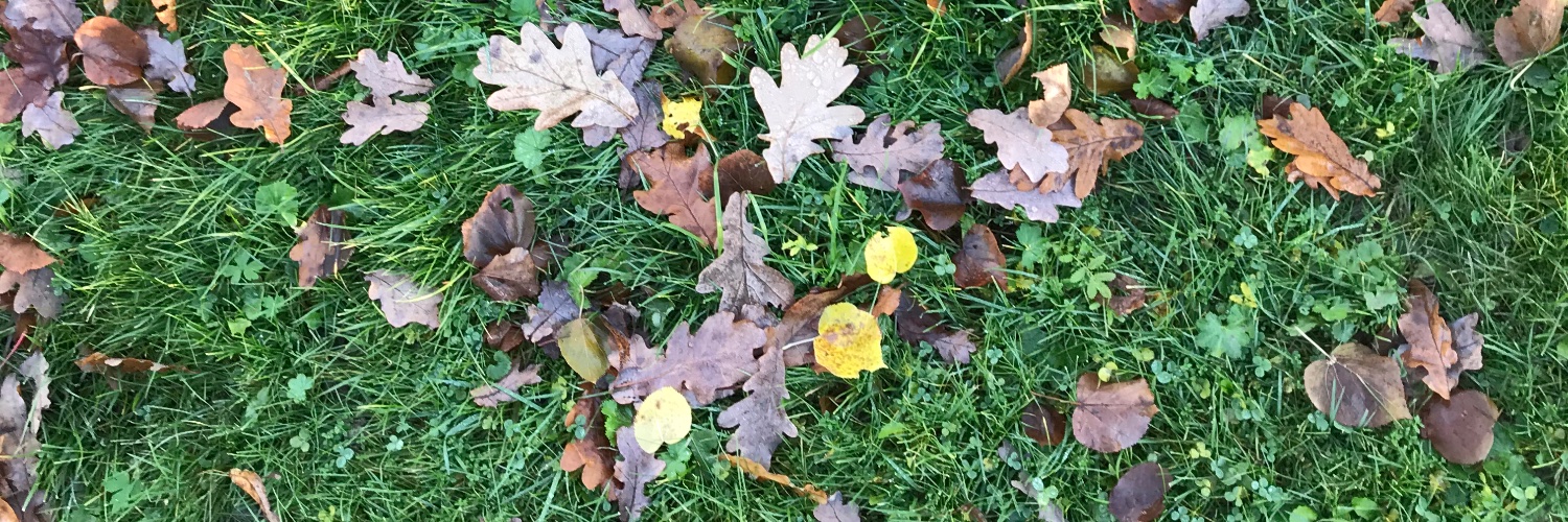 vrncschlv's profile banner image