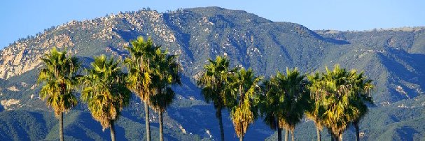 A R E D U B S banner