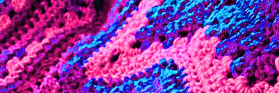 Nicole Bourque banner