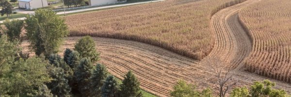 bstupfell Profile Banner