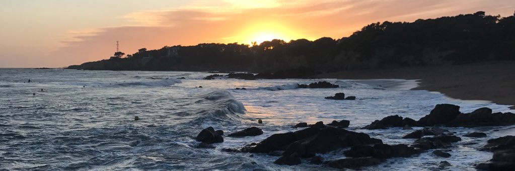 kokooalaa's profile banner image