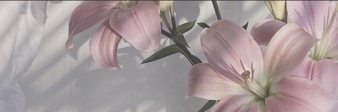 victoria_esson's profile banner image