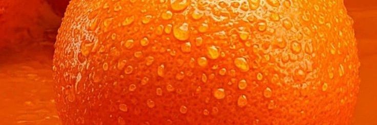 feernandandra's profile banner image