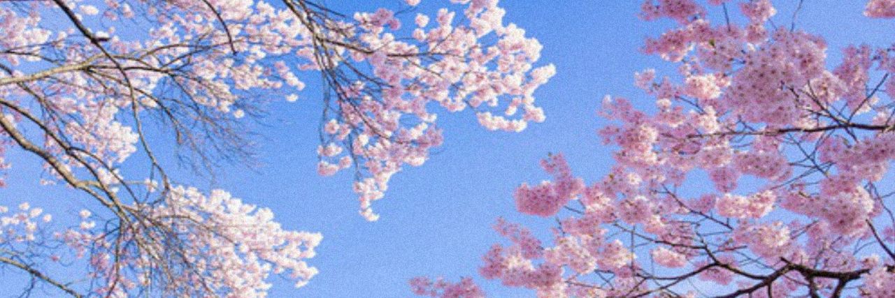 LittleMissMimu's profile banner image