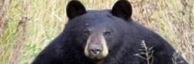 OverviewChrisP's profile banner image