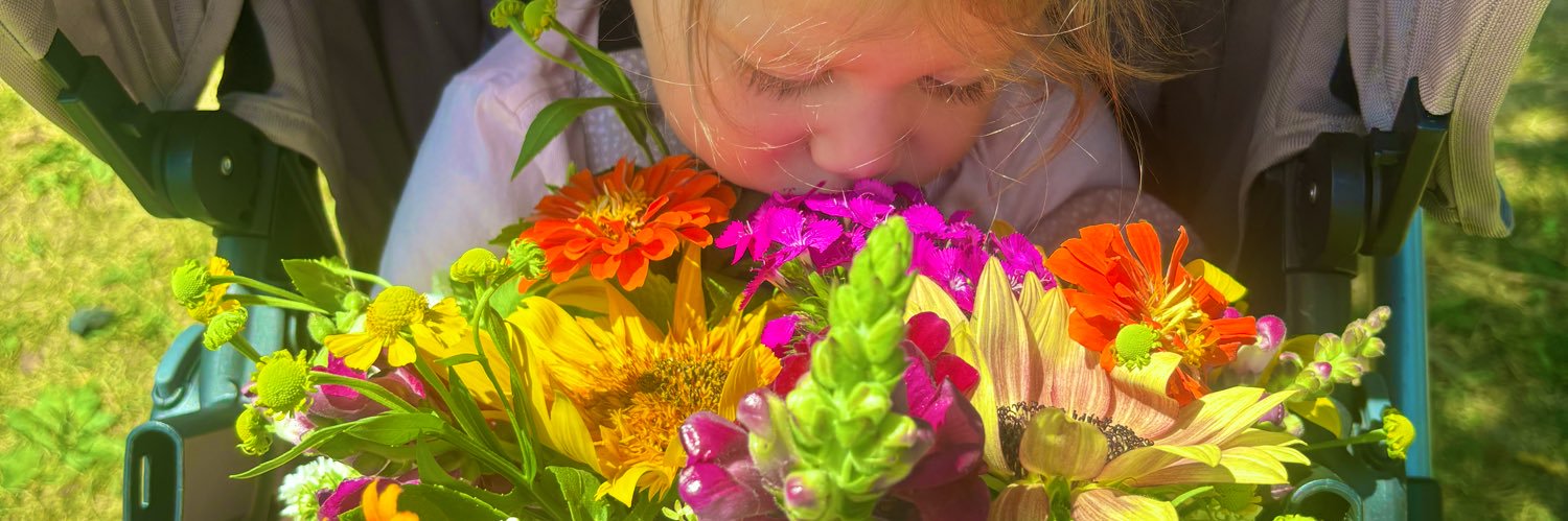 abbycolson's profile banner image