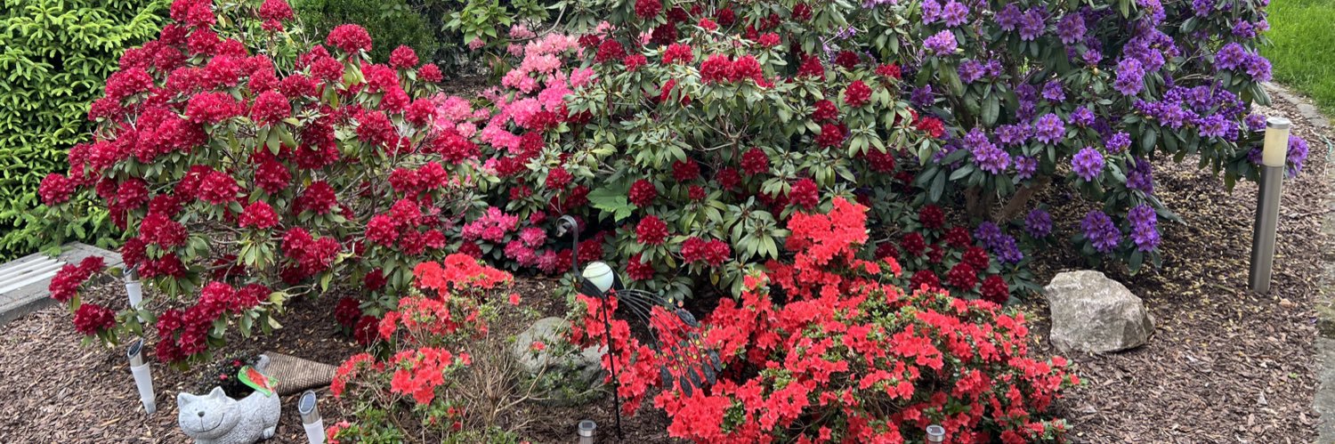 Tomas Bergmann 🇪🇺 banner