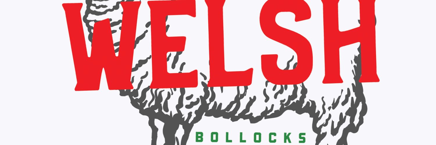 Welsh Bollocks 🏴󠁧󠁢󠁷󠁬󠁳󠁿's banner