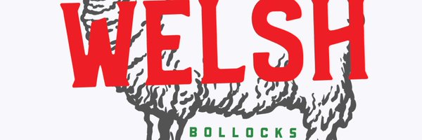welshbollocks Profile Banner