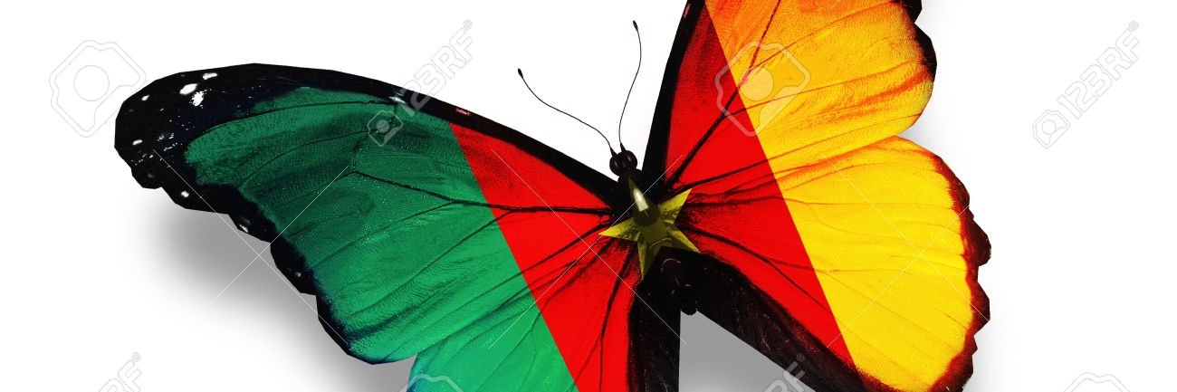 i2lette's profile banner image