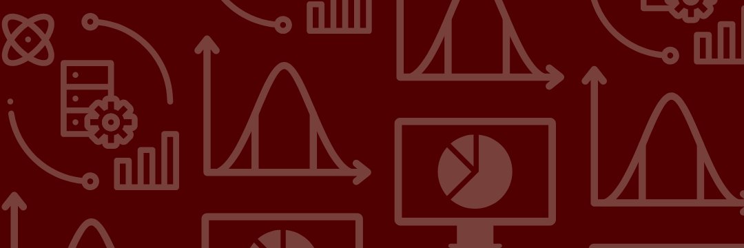 TAMU Statistics's banner