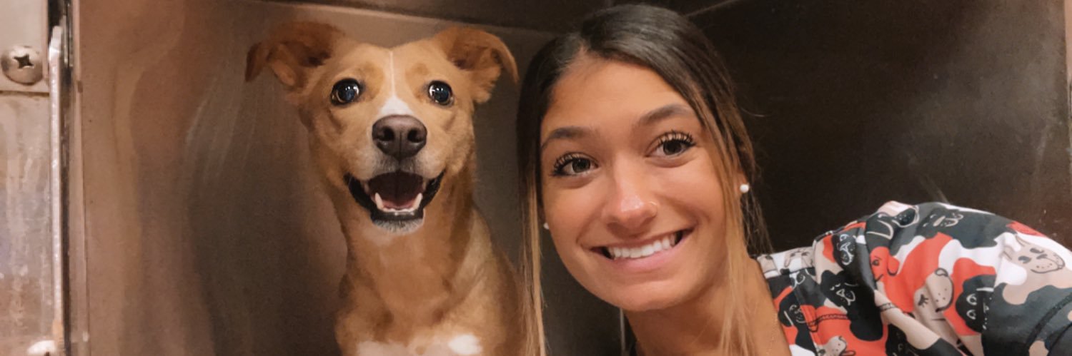 mandy_hafner_'s profile banner image