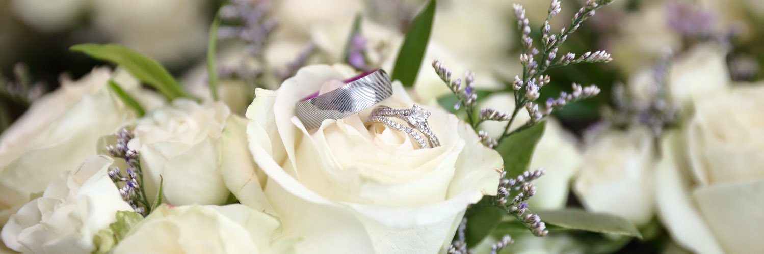LeightyPhotog's profile banner image