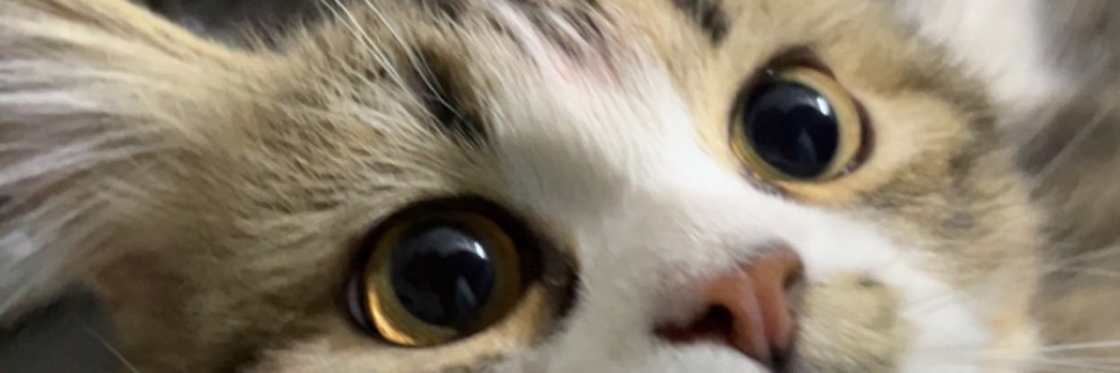 TOMY__95's profile banner image