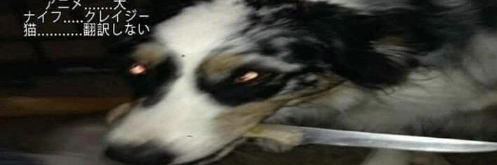 Pennington_21's profile banner image